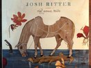 Josh Ritter The Animal Years Vinyl LP Record NM w/ Insert Never Played RARE