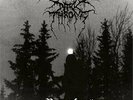 Darkthrone-Panzerfaust VINYL LP NEU