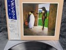 LP Penguin Cafe Orchestra - Penguin Cafe Orchestra | Japan Press | M/M | OBI
