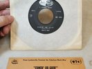 Rare 1966 Garage Rock 45 MOTT'S MEN Comin' Or Goin' She is So Mean Loren Records