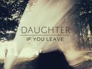 If You Leave by Daughter (180g Vinyl, Jun-2013, LP, Glassnote) *NEW* *FREE Ship*