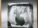 Miike Snow – Miike Snow 2xVinyl LP Downtown DWT70085-1 NM