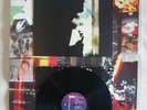 Paul Weller Wild Wood Original 1993 LP + Poster and five pound note  EX oasis