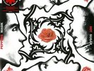 RED HOT CHILI PEPPER - Blood Sugar Sex Magik (remaste