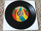Little Mr. Lee And The Cherokees – Party Time / Will My Baby Come Back 45 PROMO