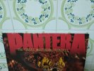 PANTERA The Great Southern Trendkill  1996 GERMANY LP VINYL THRASH