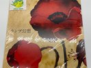 Lamp Lamp Genso Vinyl LP Record Japan City Pop Yumeutsutsu