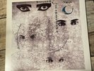 SIOUXSIE AND THE BANSHEES Through the Looking Glass VINYL LP record '87 album NM
