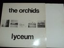 Orchids 10