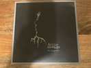 arctic monkeys my propeller vinyl
