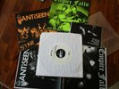 ANTISEEN EMPIREFALLS TEST PRESS 1 of 3 7 inch record hardcore punk oi gg allin