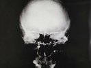 Ministry ‎– The Mind Is A Terrible Thing To Taste : MOVLP993 SEALED VIYL LP 180g