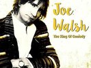 Joe Walsh - The King Of Comedy Radio Broadcasts 1981-1991 (2LP Vinyl) NEW/SEALED