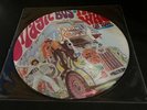 THE WHO Magic Bus On Tour Picture Disc (Made in Germany)Rare   Ships Free