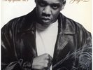 Jay-Z - In My Lifetime, Vol. 1 '97 2xLP US ORG EX+/EX+ W/S