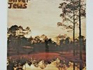 Starlite Walker by Silver Jews (Record, 1994) ** New Sealed
