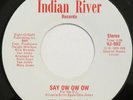 VAN JONES & J’s Say Ow Ow / Let’s Go Disco INDIAN RIVER 45 soul funk NM 7