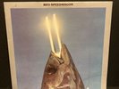 REO Speedwagon-You Can Tune A Piano,But You Can't Tuna Fish-1978 EX