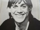 IGGY POP Lust For Life RCA GREEN LABEL 1981 UK VINYL LP INTS5114 DAVID BOWIE