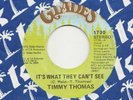 NORTHERN -- TIMMY THOMAS -- IT'S WHAT THEY CAN'T SEE / EBONY AFFAIR