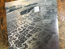 FLEET FOXES Shore ANTI 2LP sealed BLACK VINYL Folk INDIE Rock Record NEW