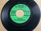 Richie & Reknowns 1963 WHITE DOOWOP 45 Please Say That You Want Me / STREKE HEAR