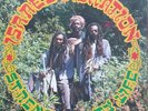 LP ROOTS / ISRAEL VIBRATION / STRENGTH OF MY LIFE / R A S