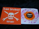 Teenage Bottlerocket Sick Sesh  store LP punk nofx ramones flatliners green day