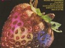 Strawberry Alarm Clock The Best of the Strawberry Alarm Clock  (Viny (US IMPORT)