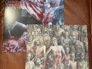 Cannibal Corpse Vinyl Bundle Death Metal The Bleeding Tomb Of The Mutilated