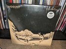 Weezer - PINKERTON - Vinyl LP Reissue DMM Mastering - NEW & SEALED