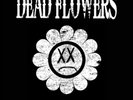 Dead Flowers For You  (Vinyl)  12