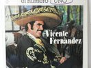 VICENTE FERNANDEZ 