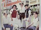 LOS CAMINANTES-“Corridos Al Estilo De”-33 RPM LUNA Records Vg+