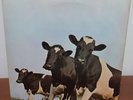 Pink Floyd Atom Heart Mother Vinyl Record LP Album RSPCA Middlesex/Herts