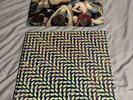 Animal Collective Vinyl LP Bundle- Merriweather Post Pavillion, Person Pitch