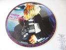 NIRVANA ROMA 1994 Vinyl Picture Disc LP ORIGINAL SLEEVE PERFECT GOODBYE COBAIN