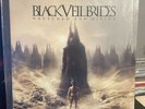 Black Veil Brides Wretched And Divine Vinyl 2012 Like New Condition
