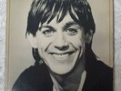 Iggy Pop - Lust For Life ORIGINAL 1977 US PRINT vinyl LP