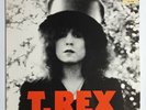 T-REX - 'The Slider' 12