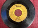 norman fox and the rob roys vinyl 45 Promotional Dream Girl /pizza Pie Very Rare