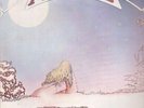 Camel Moonmadness + POSTER NEAR MINT Nova Vinyl LP