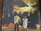 Scary Kids Scaring Kids- The City Sleeps in Flames Vinyl (x/100) Black/Gold/Red