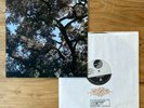 TEST PRESS: CHARLES MANSON Trees LP GREEN outsider art jandek daniel johnston
