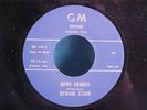 Texas country hippie style  GM Dwayne Starr Hippy Cowboy/I'm Not The Fool I M-