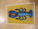 The B-52's: Rock Lobster (orig 1986 U.K. limited ed 7 inch shape/picture disc)