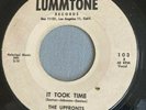 DOO WOP 45 UPFRONTS LUMMTONE 103 (DJ) IT TOOK TIME / BENNY LOU & THE LION
