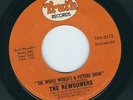 Modern Soul - The Newcomers TRUTH 3213 The whole world's a picture show  1974