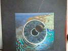 Vinyl 4 x LP Box PINK FLOYD PULSE Rairität