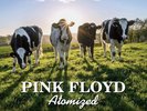 PINK FLOYD Atomized Bbc Paris Theatre London 1970 LP Limited Marbled NUOVO .cp